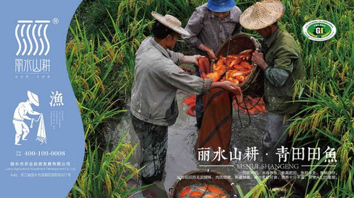 丽水山耕60余种精品农产品亮相农交会，区域品牌助力乡村振兴